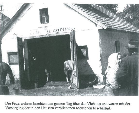 1954