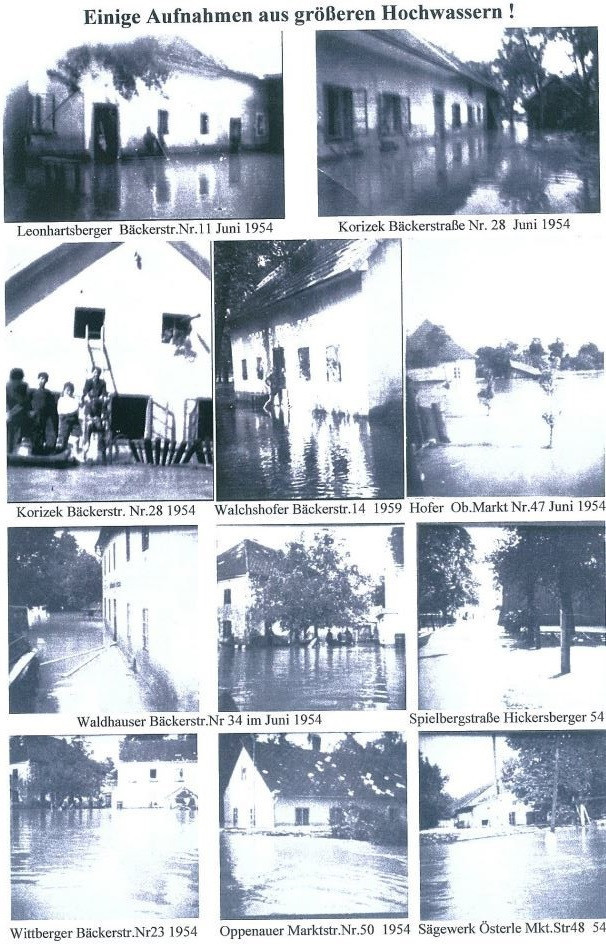 19544