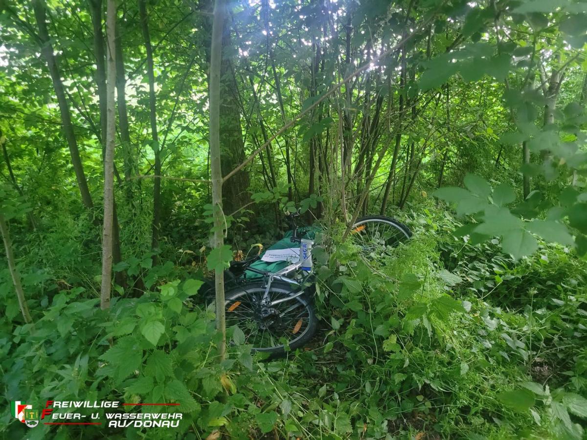 20230607192957---Kopiejpg3