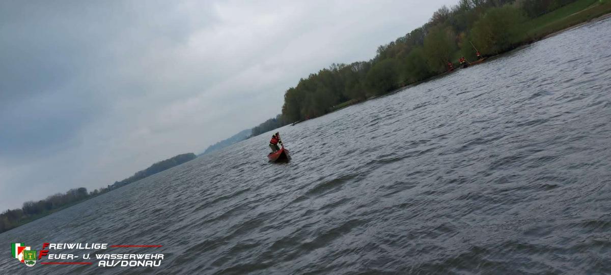 IMG-20220424-WA0008jpg1