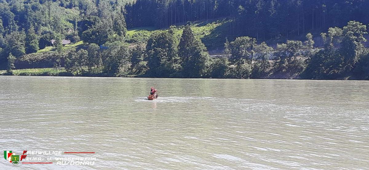IMG-20220604-WA0017jpg2