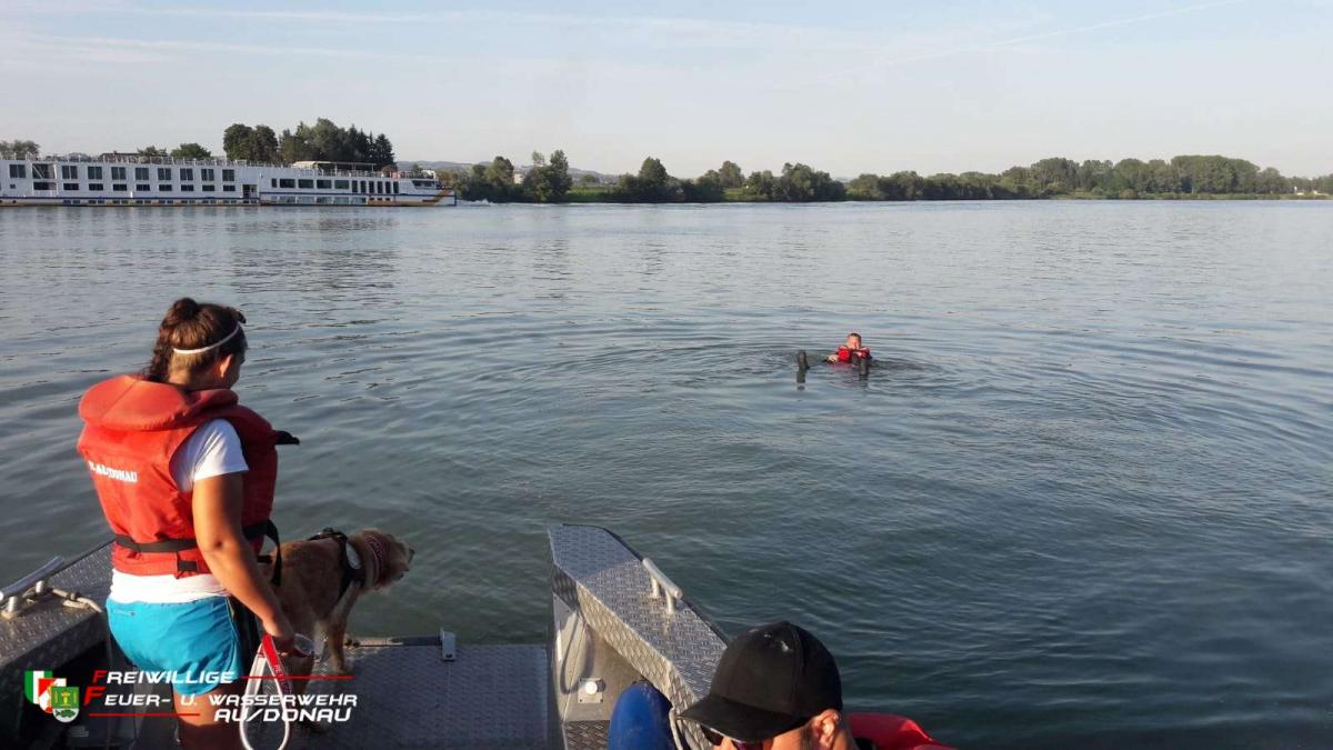 IMG-20220721-WA0009jpg1