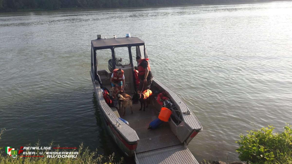 IMG-20220721-WA0027jpg5