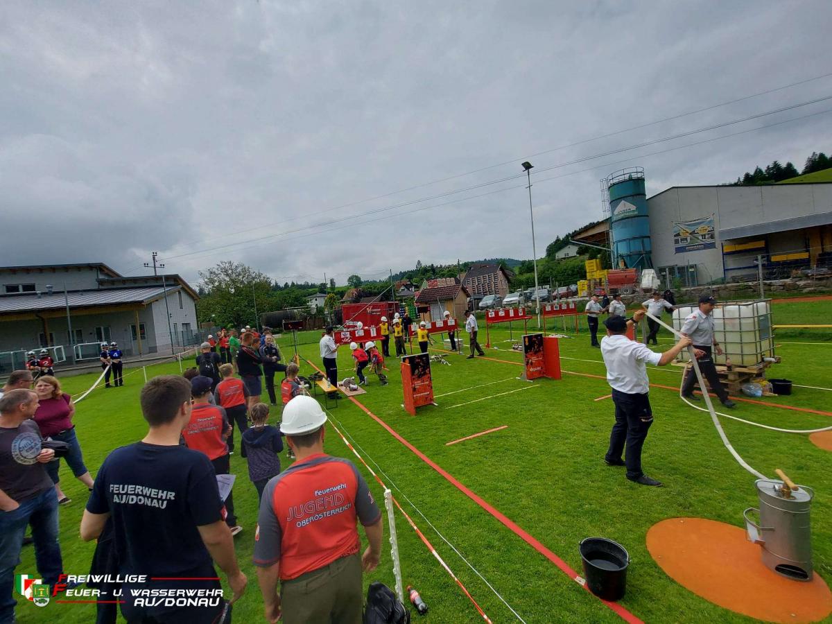 IMG-20230610-WA0008jpg0