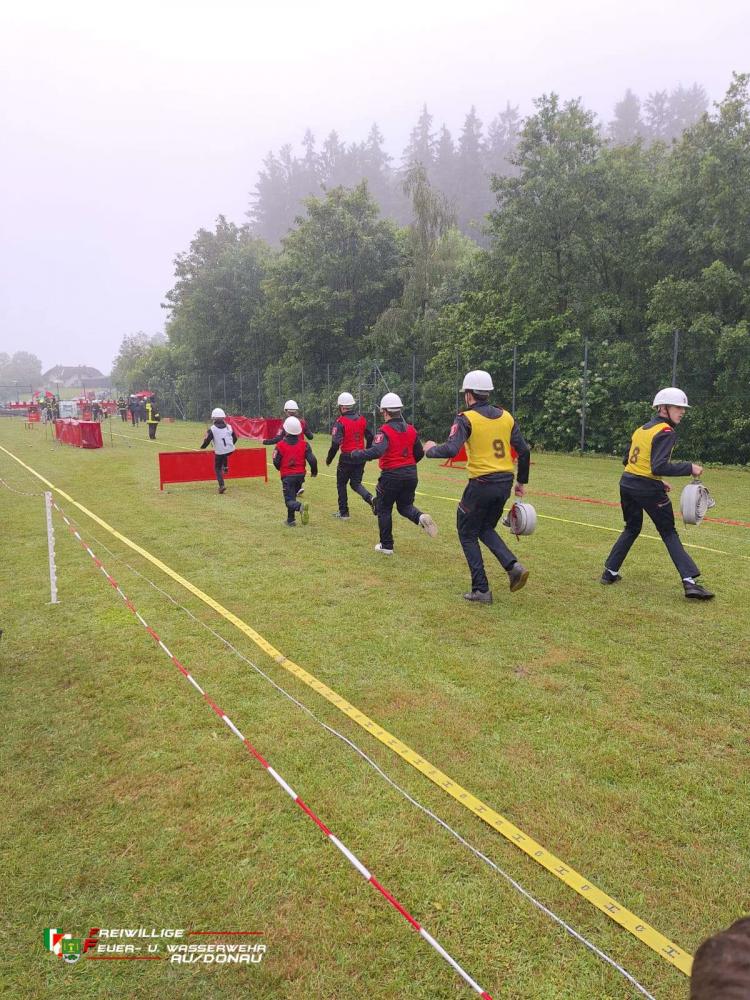 IMG-20240601-WA0015jpg2