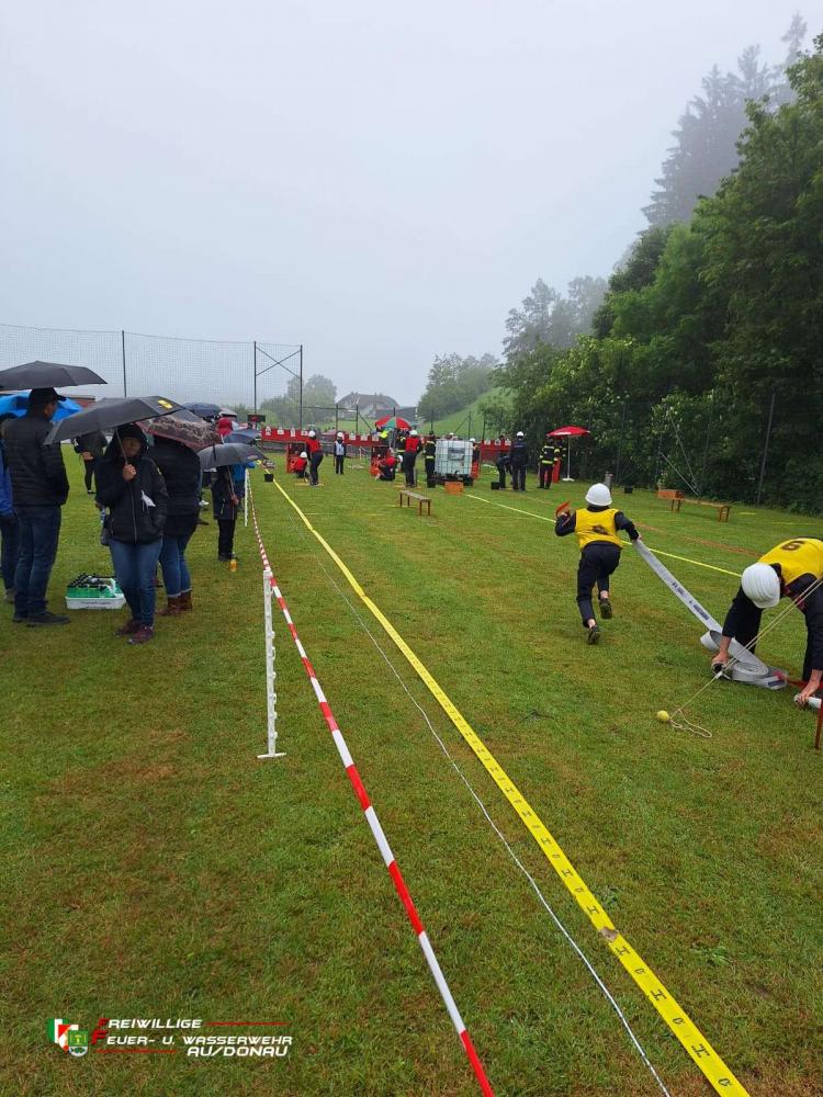 IMG-20240601-WA0016jpg0