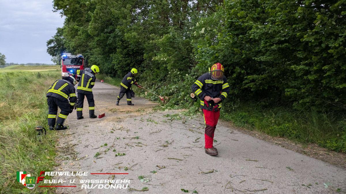 K1600PXL20260531145223155jpg1