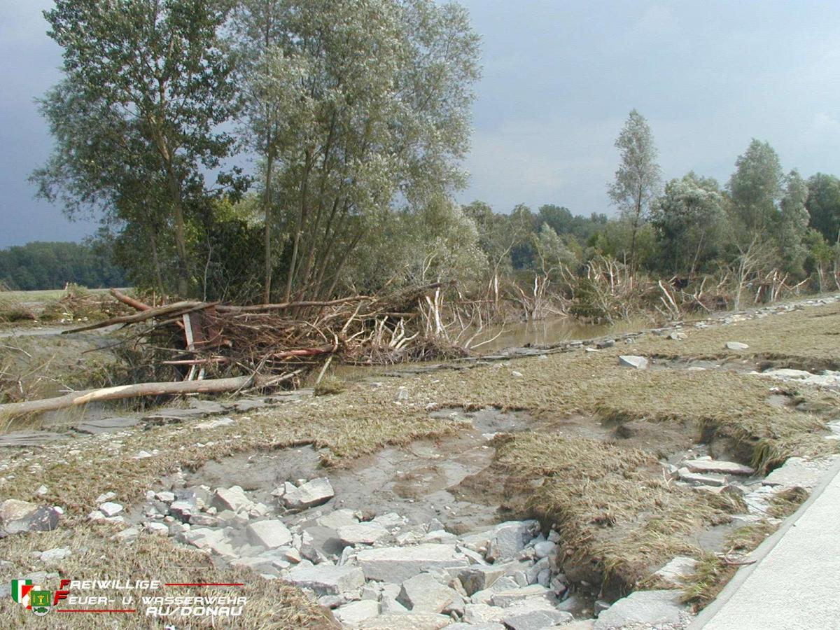 hoch-1-139JPG14